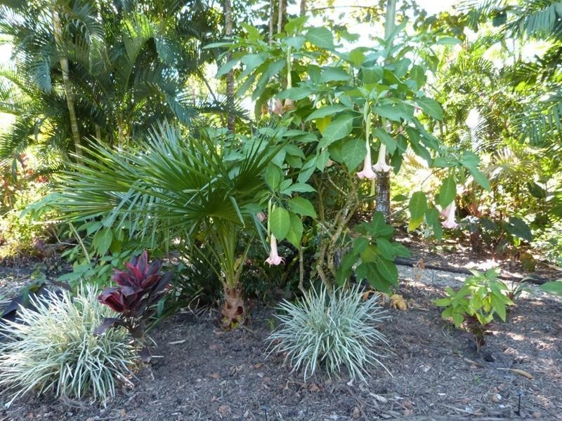 770 East Feluga Road, East Feluga QLD 4854