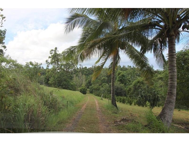 141 Hill Sixty Road, Jaffa QLD 4855