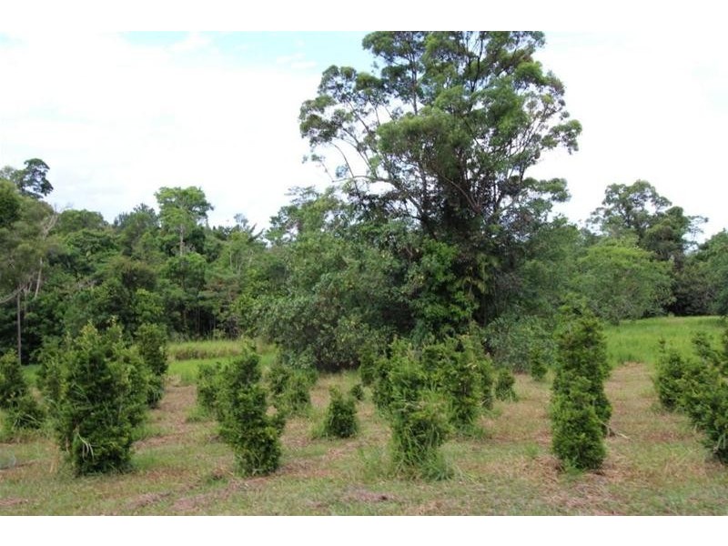 141 Hill Sixty Road, Jaffa QLD 4855