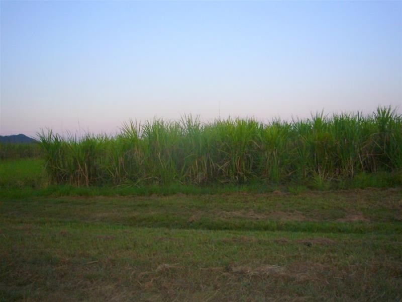 Lot 88 Midgenoo-Feluga Road, Midgenoo QLD 4854
