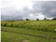 Lot 88 Midgenoo-Feluga Road, Midgenoo QLD 4854