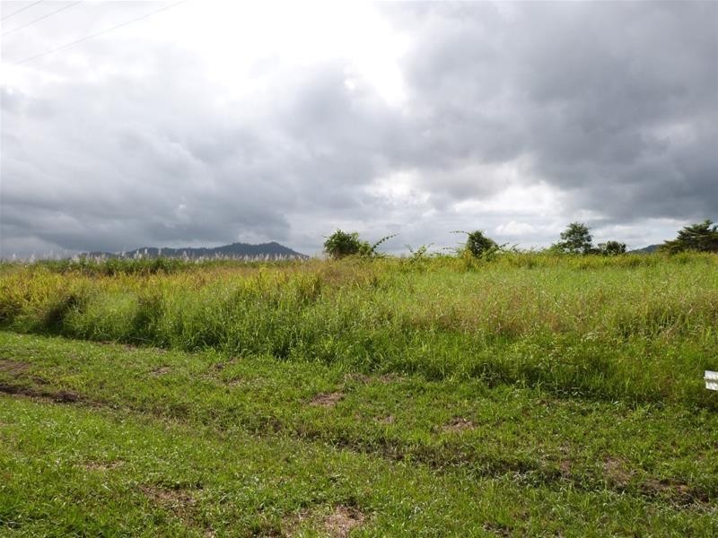 Lot 88 Midgenoo-Feluga Road, Midgenoo QLD 4854