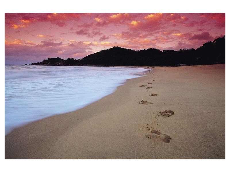 Lot Lots 15,16,18, 15,16 & 18 Clipper Court, South Mission Beach QLD 4852