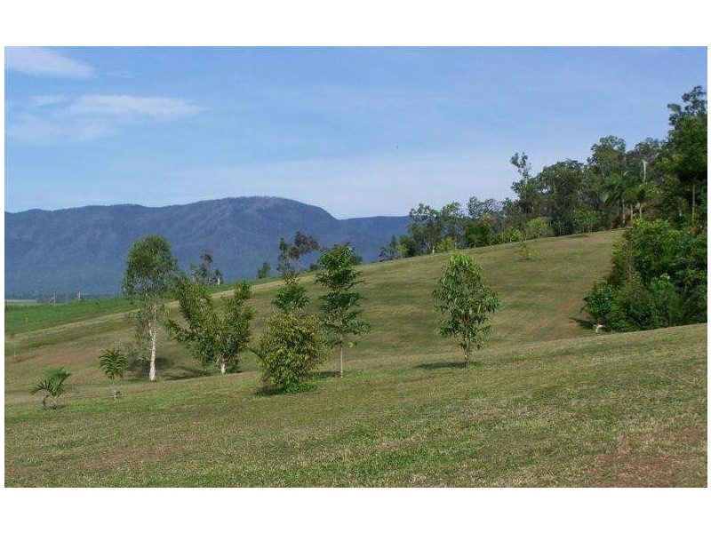 60 South Davidson Road, Munro Plains QLD 4854