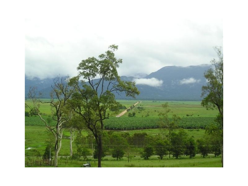 60 South Davidson Road, Munro Plains QLD 4854