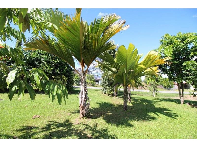 3 Walter Lever Estate Road, Silkwood QLD 4856