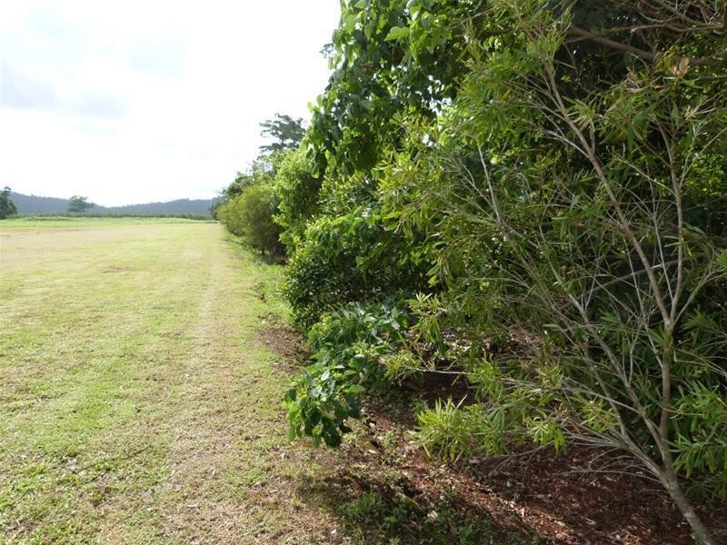 Lot 65, 65 Purtaboi Close, Mission Beach QLD 4852