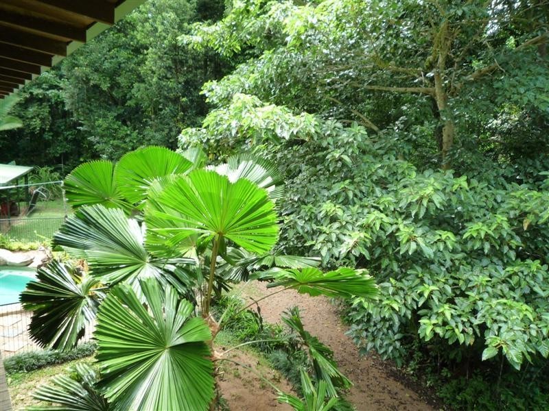 Garners Beach QLD 4852