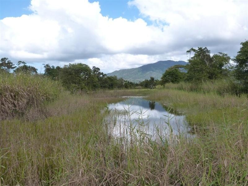 Lot 589, Lot 589 Old Telegraph Road, East Feluga QLD 4854