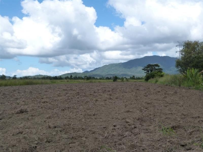 Lot 589, Lot 589 Old Telegraph Road, East Feluga QLD 4854