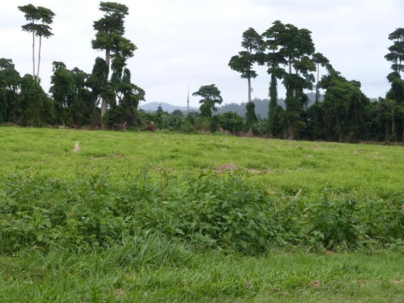 Lot 2, 2 Boyett Road, Mission Beach QLD 4852