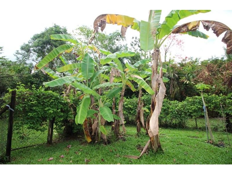 1235 Old Tully Road, Maadi QLD 4855