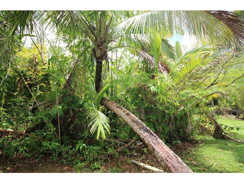 1235 Old Tully Road, Maadi QLD 4855