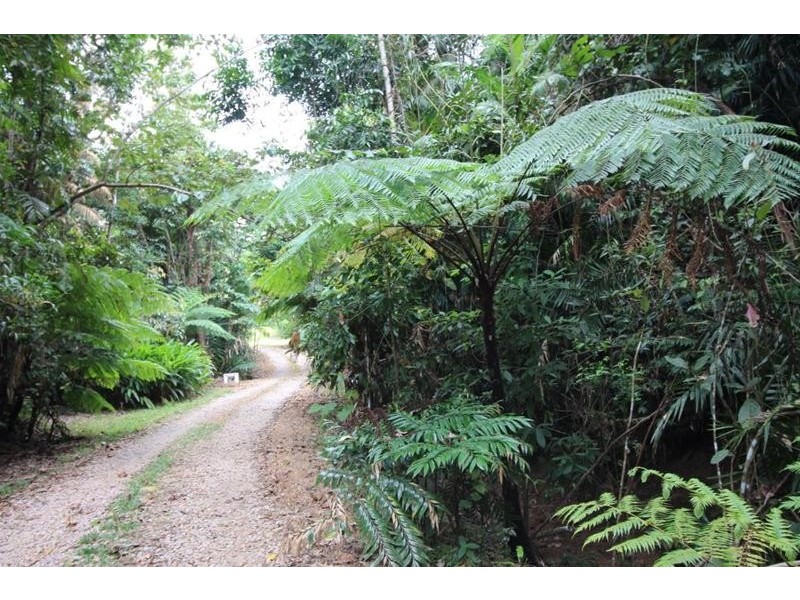 814 Silkwood Japoon Road, No 4 Branch QLD 4856