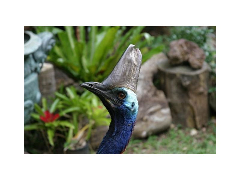 Mission Beach QLD 4852