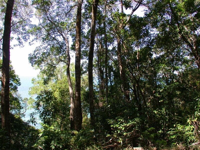 Mission Beach QLD 4852