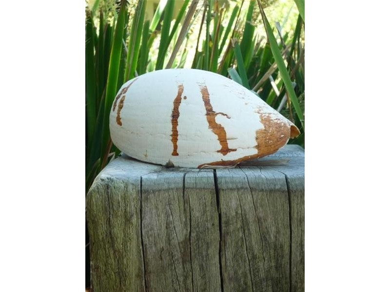 South Mission Beach QLD 4852