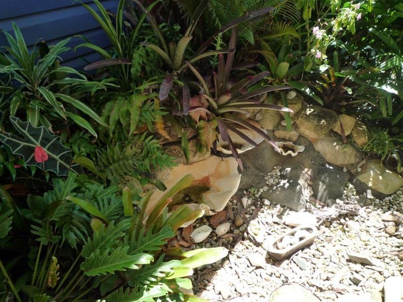 South Mission Beach QLD 4852