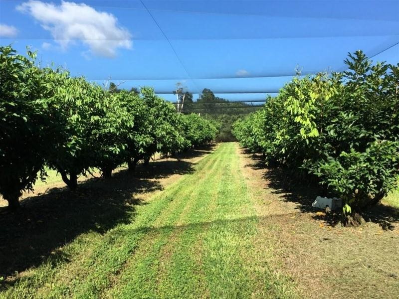 922 Granadilla Road, Granadilla QLD 4855