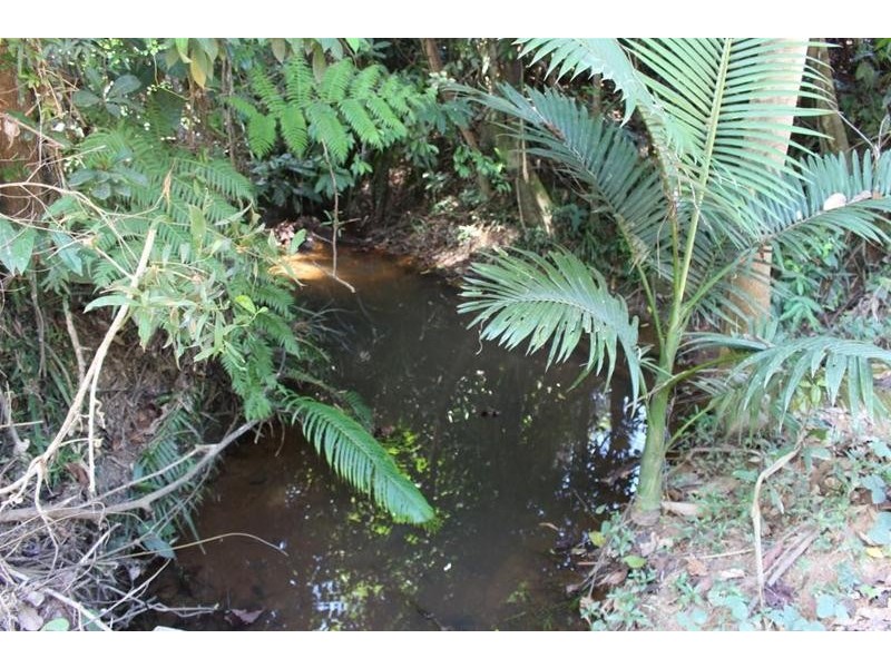 922 Granadilla Road, Granadilla QLD 4855