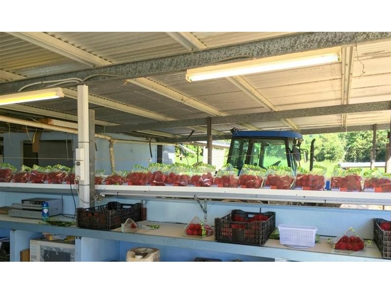 922 Granadilla Road, Granadilla QLD 4855