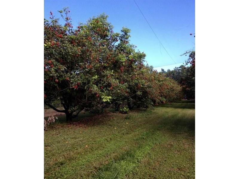 922 Granadilla Road, Granadilla QLD 4855