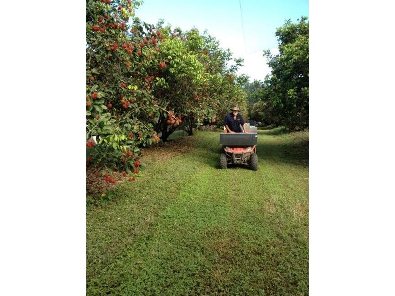 922 Granadilla Road, Granadilla QLD 4855