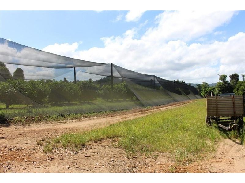 922 Granadilla Road, Granadilla QLD 4855