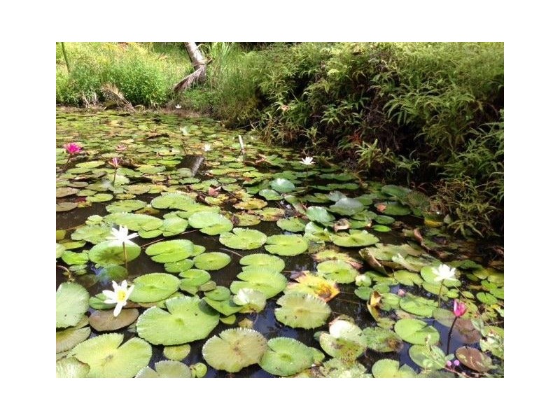 Lot 3, 3 Shell Pocket Road, El Arish QLD 4855