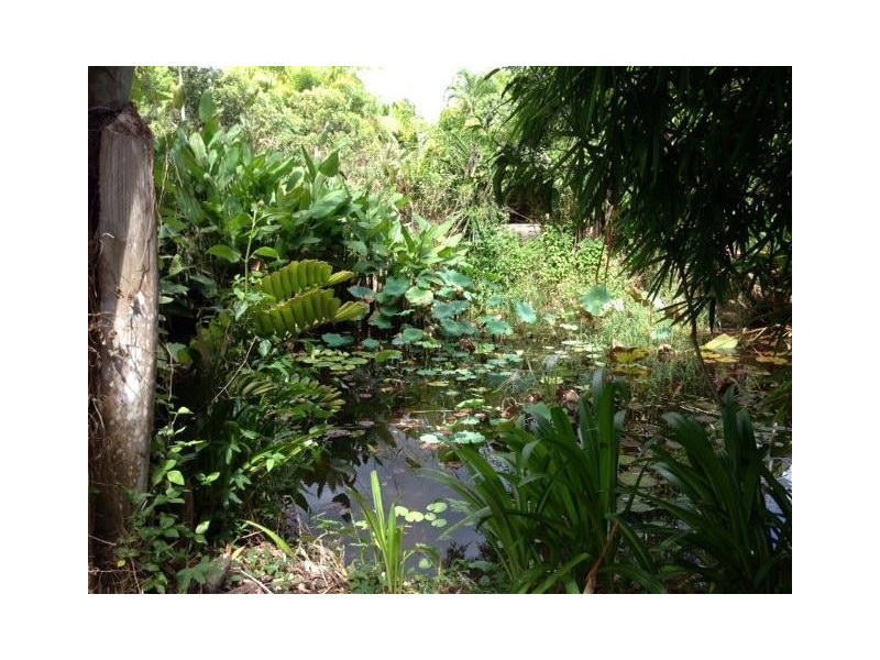 Lot 3, 3 Shell Pocket Road, El Arish QLD 4855
