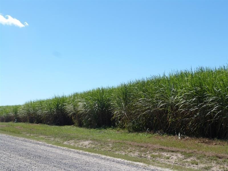 Lot 523, Lot 523 Granadilla Road, Granadilla QLD 4855