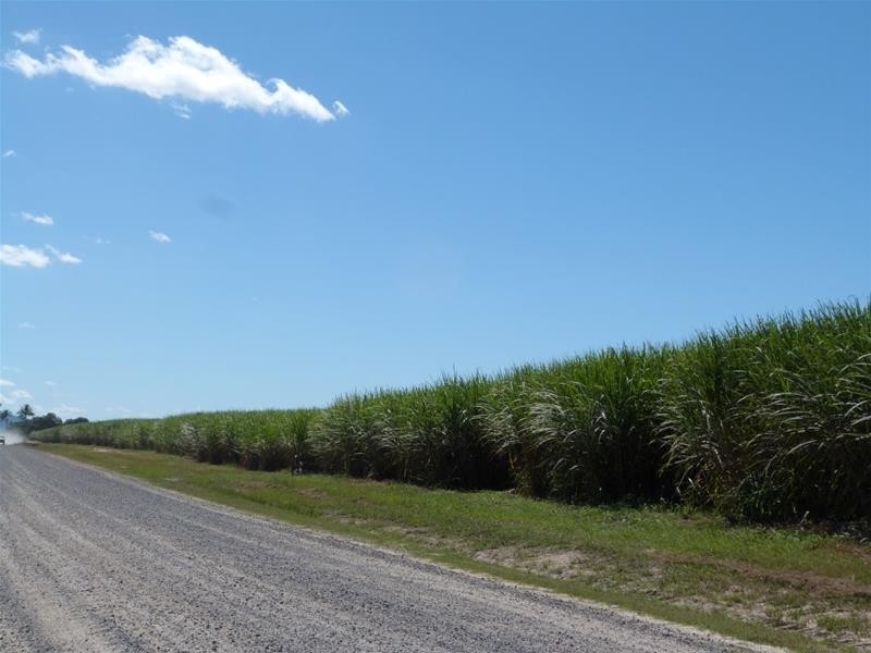 Lot 523, Lot 523 Granadilla Road, Granadilla QLD 4855