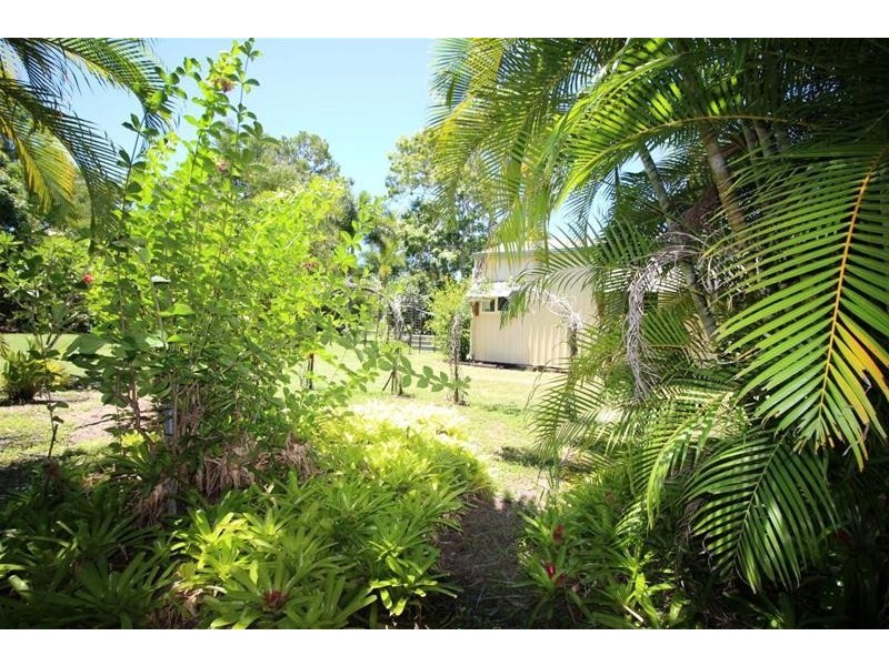 37 Paradise Palm Drive, Tully Heads QLD 4854