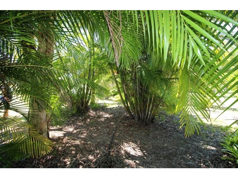 37 Paradise Palm Drive, Tully Heads QLD 4854