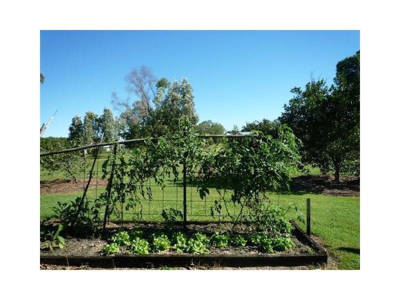 23 Vipiana Drive, Tully Heads QLD 4854