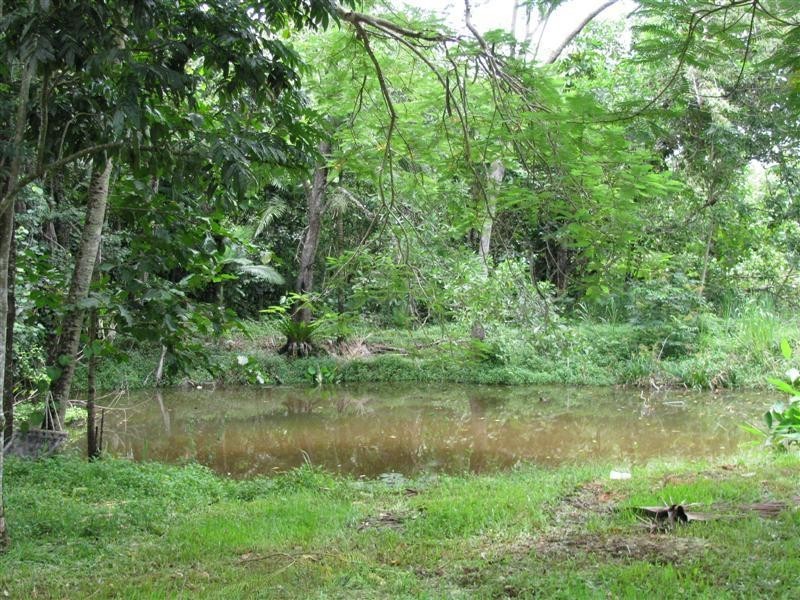 Carmoo QLD 4852