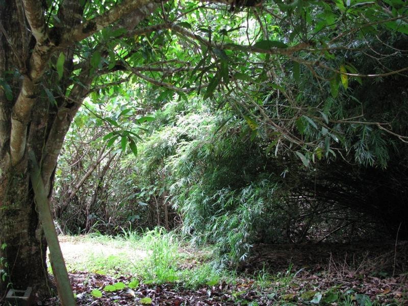 Carmoo QLD 4852
