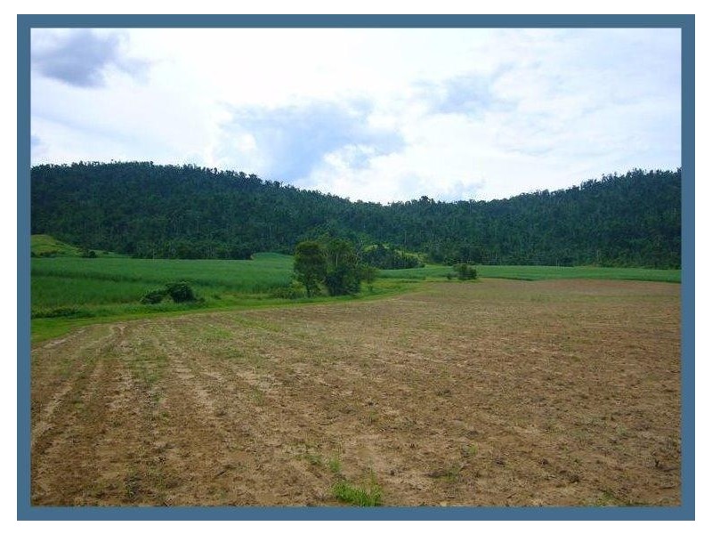 135 Gullotta Road, Walter Lever Estate QLD 4856