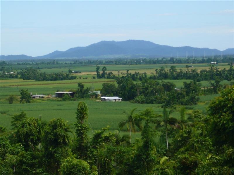 135 Gullotta Road, Walter Lever Estate QLD 4856