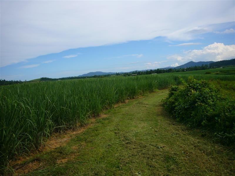 135 Gullotta Road, Walter Lever Estate QLD 4856