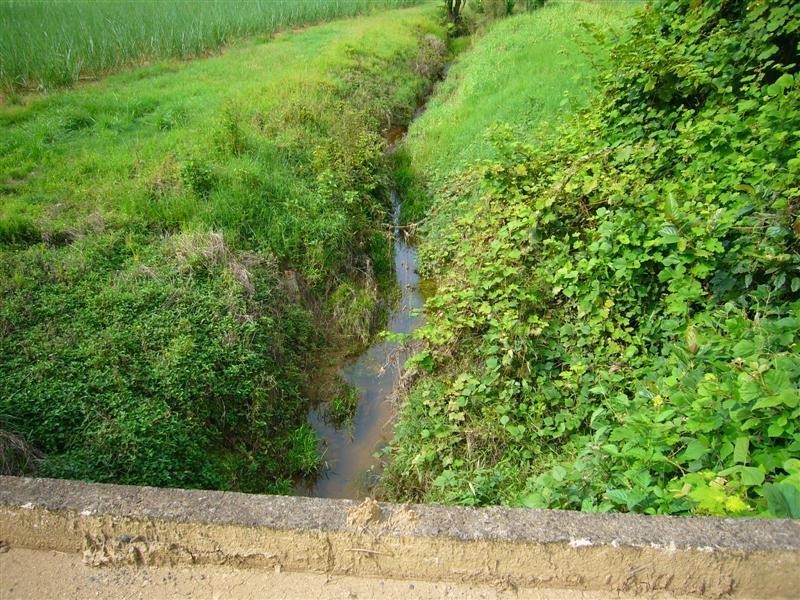 135 Gullotta Road, Walter Lever Estate QLD 4856