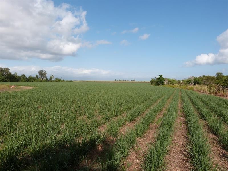 Lot 1 & 517, 1 & Lot 517 Maria Road, Lower Tully QLD 4854