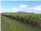 Lot 1 & 517, 1 & Lot 517 Maria Road, Lower Tully QLD 4854