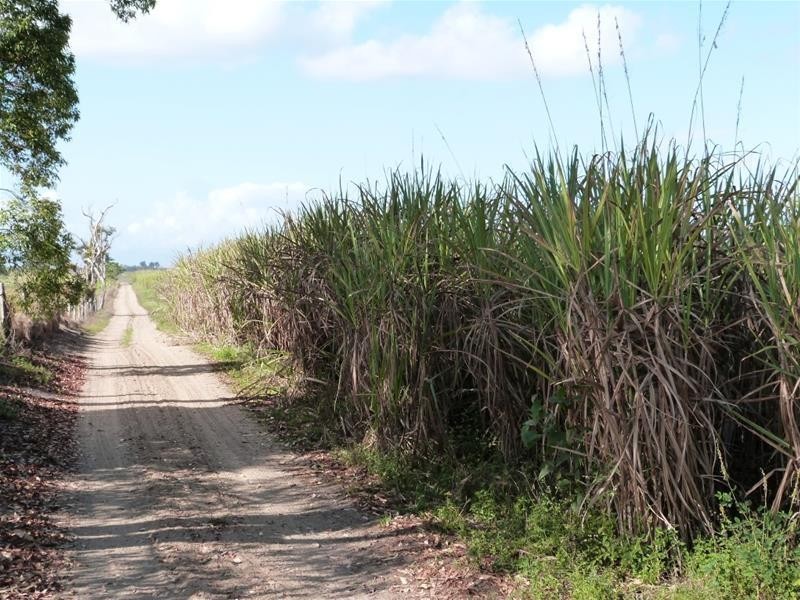 Lot 1 & 517, 1 & Lot 517 Maria Road, Lower Tully QLD 4854