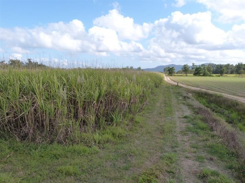 Lot 1 & 517, 1 & Lot 517 Maria Road, Lower Tully QLD 4854
