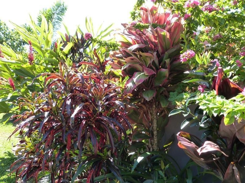 1 Golf Course Street, El Arish QLD 4855