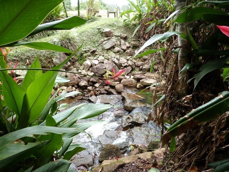 252 East Feluga Road, East Feluga QLD 4854