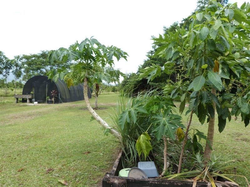 252 East Feluga Road, East Feluga QLD 4854