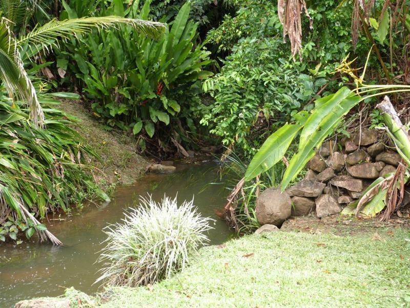 252 East Feluga Road, East Feluga QLD 4854