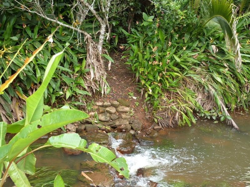 252 East Feluga Road, East Feluga QLD 4854